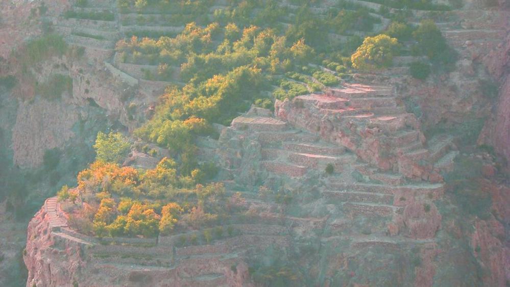 Green Mountain Hotel Apartments Al 'Aqar Екстериор снимка